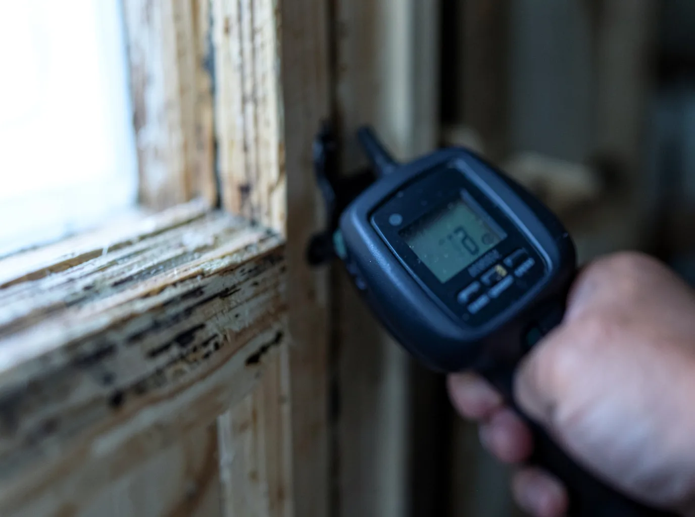 Moisture Inspection And Documentation in Milton Mills, NH